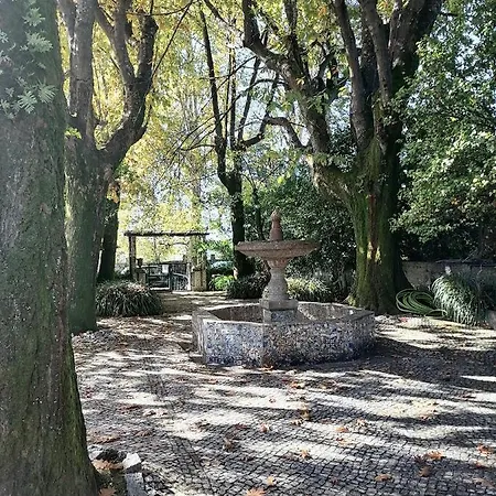 Bed & Breakfast Camelia Guimaraes