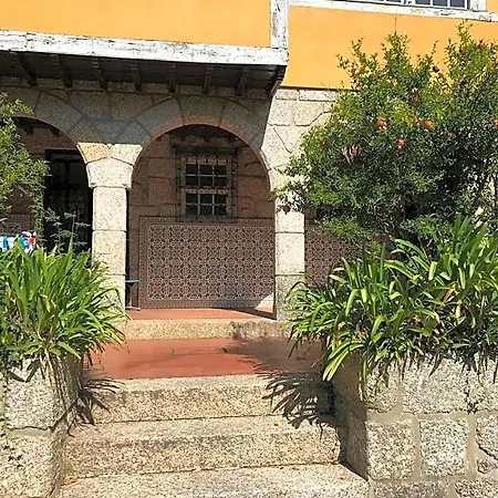 Camelia * Guimarães