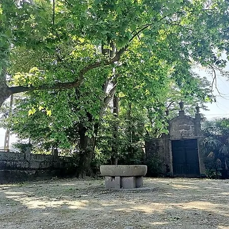 Camelia Oda ve Kahvaltı Guimarães