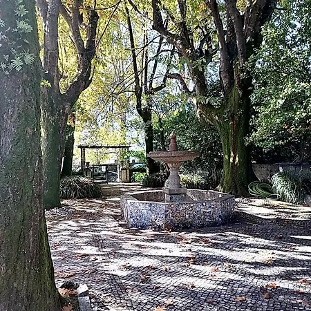 Camelia Oda ve Kahvaltı