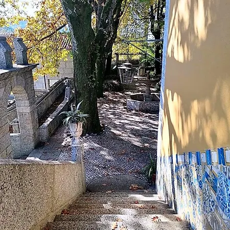 Oda ve Kahvaltı Camelia Guimarães