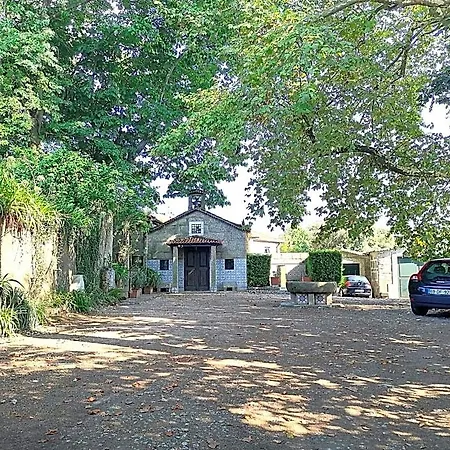 Camelia Guimarães