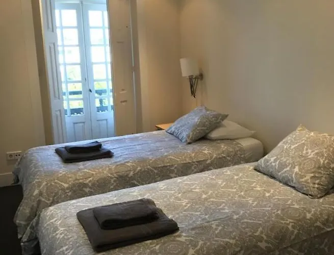 Camelia * Guimarães