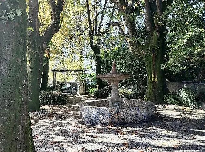 Bed and Breakfast Camelia Γκιμαράες