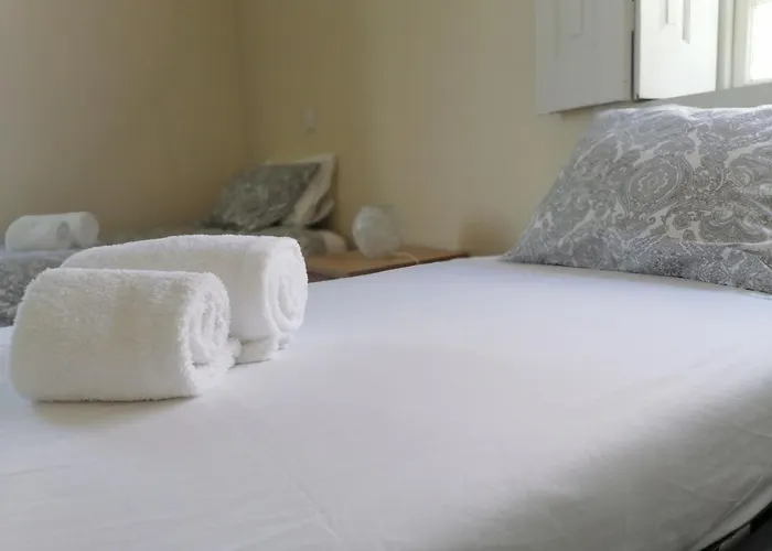 Camelia Couette-café *