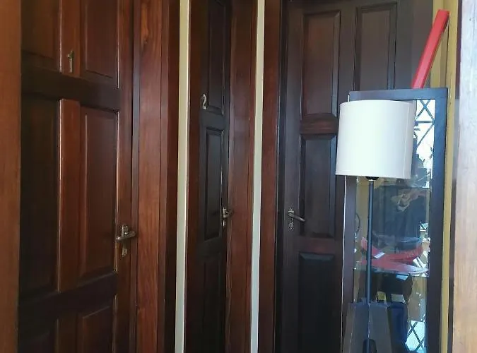 Camelia * Guimarães